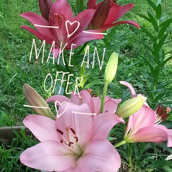 Other - Make an offer!!!!🌺🌸🌺🌸